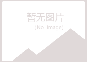 合山南松律师有限公司